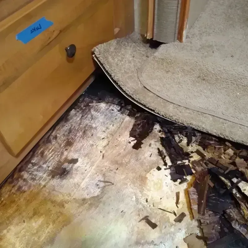 Wood Floor Water Damage in Oakdale, NY